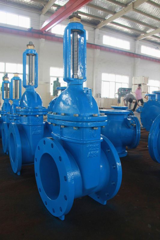 Ductile Iron Resilient Seated Gate Valve, Awwa C509, RS