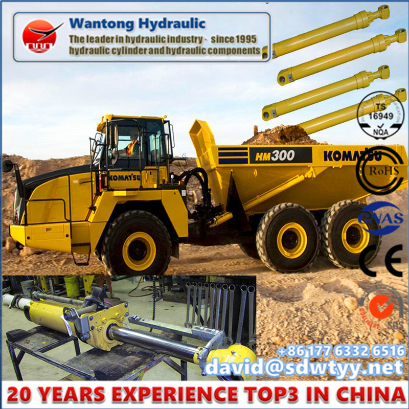 Hot Sale Hydraulic Cylinder for Dump Truck/Trailer