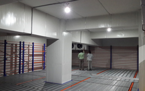 Cold Room for Meat & Vegetable Store