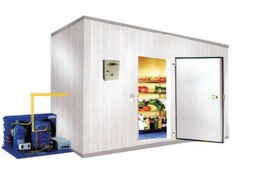 Hot Sale Cold Room for Potato and Vegetables