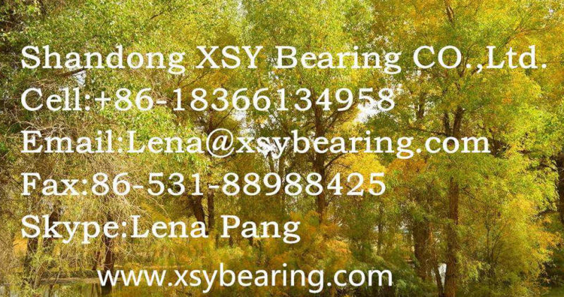 Factory Price Cylindrical Roller Bearing N222 with High Quality