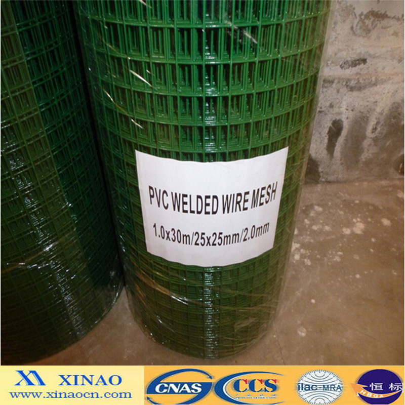 PVC Coated and Galvanzied Welded Wire Mesh (XA-417)