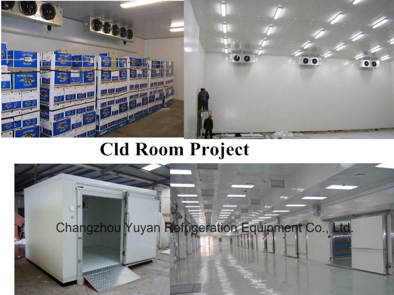 Cold Storage Room for Frozen Food with High Quality