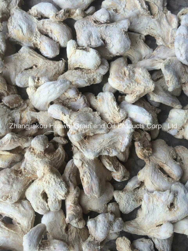 Dried Ginger