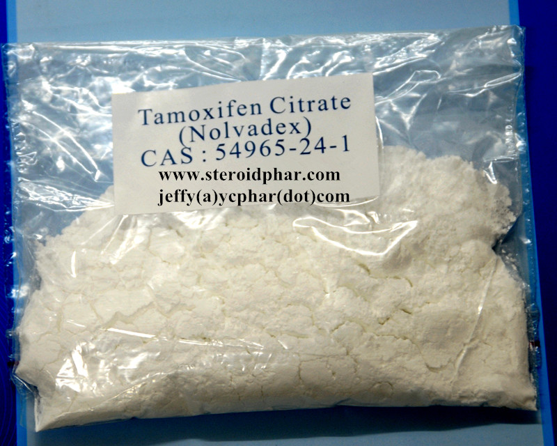 Top Quality Anti-Estrogen Steroid Tamoxifen Citrate Nolvadex