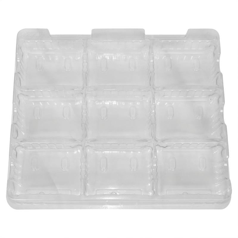 Clear 2015 Folding Blister Packaging Box (HL-171)