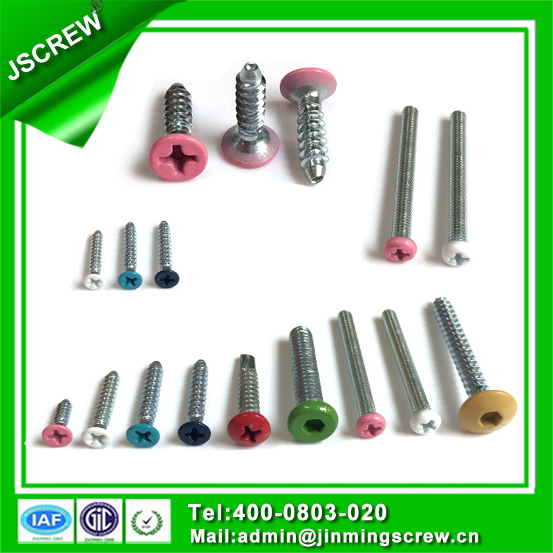 Customized Made Hot DIP Galvanized Painted Hex Head Self Drilling Screw