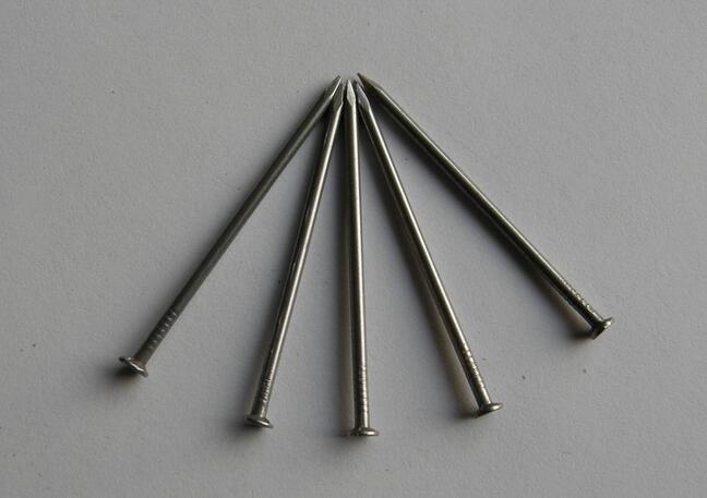 Low Price Common Nail Iron Nail Factory