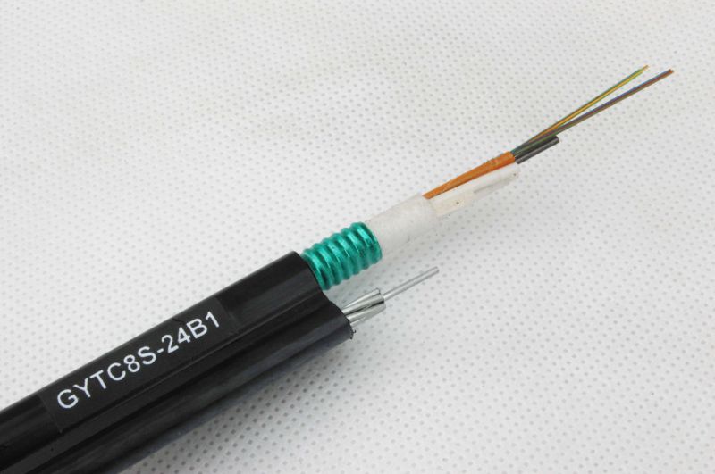 Fiber Optic G. 652D Cable Gytc8s