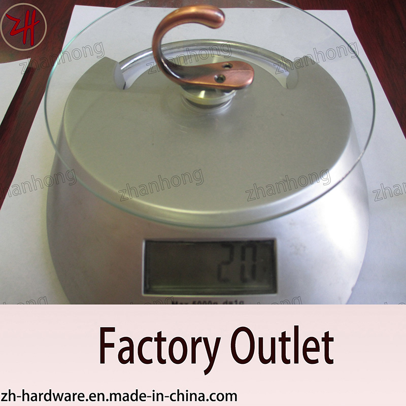 Factory Direct Sale All Kind of Hanger and Hook (ZH-2025)