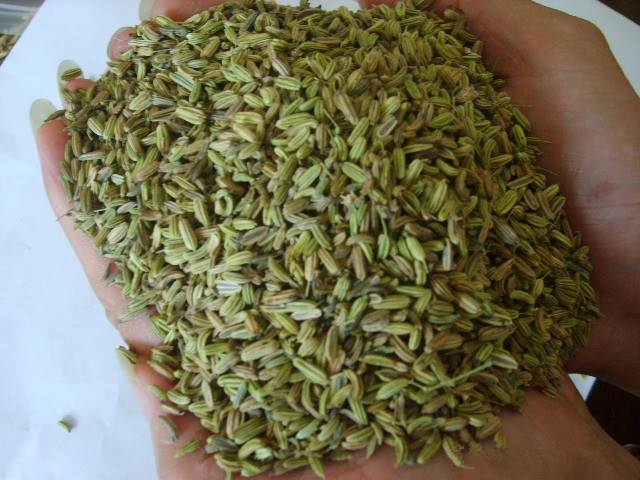 High Quality Natural Cumin Seeds (greeness: 90% and up)