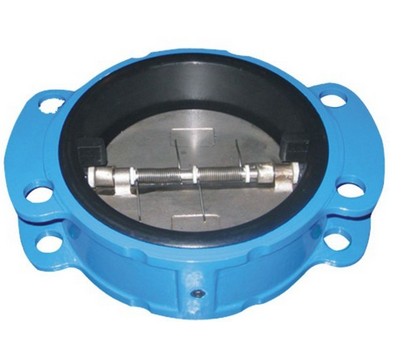 Carbon Steel Lug Type Check Valve