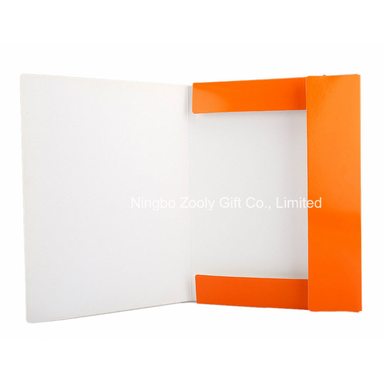 Color Paper A4 Twin 2 Pockets Presentation Paper File Folder