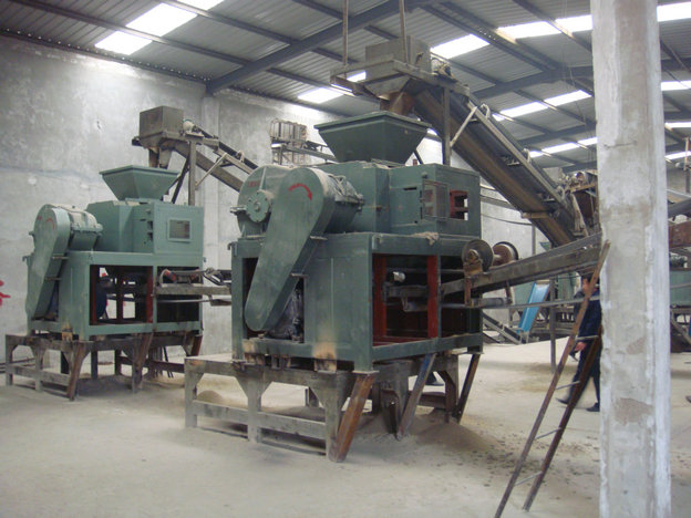 Complete Working Line of Charcoal Briquette/Ball Making Machine for Sale