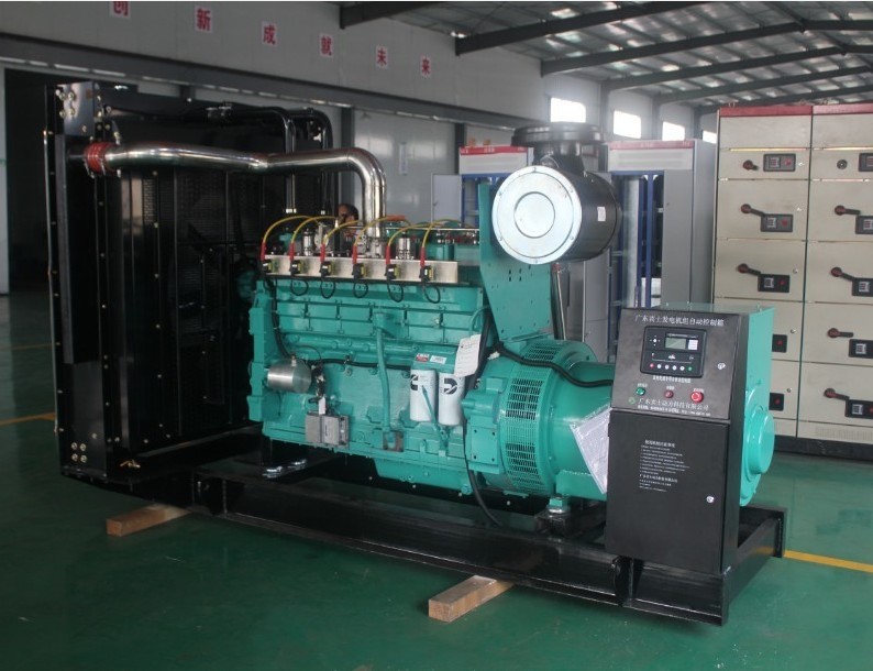 Natural Gas Generator Set (BCX30)