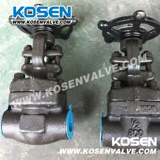 Italy Lvf Type Forged Gate Valve (Z61)