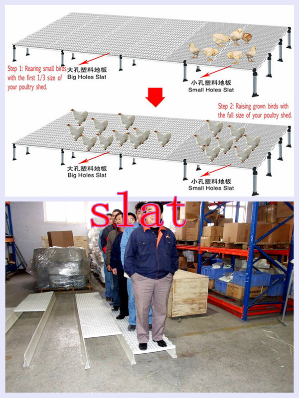 Poultry Slat and Support in Livestock with Low Cost Prefab House