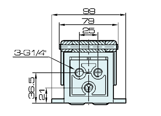 4f210 Foot Valve