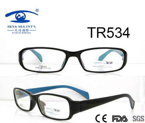 High Quality Tr90 Optical Frame (TR534)