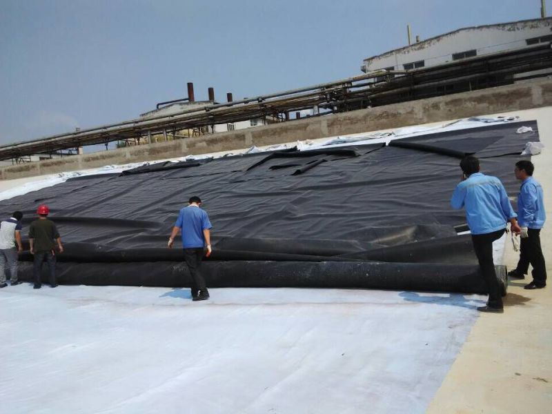 Cheap Price Composite Dimple Geomembrane