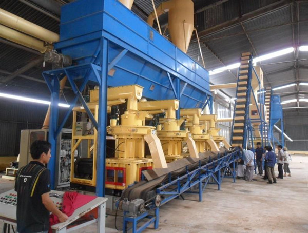 Saw Dust Pellet Mill