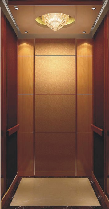 Safe and Stable Home Elevator