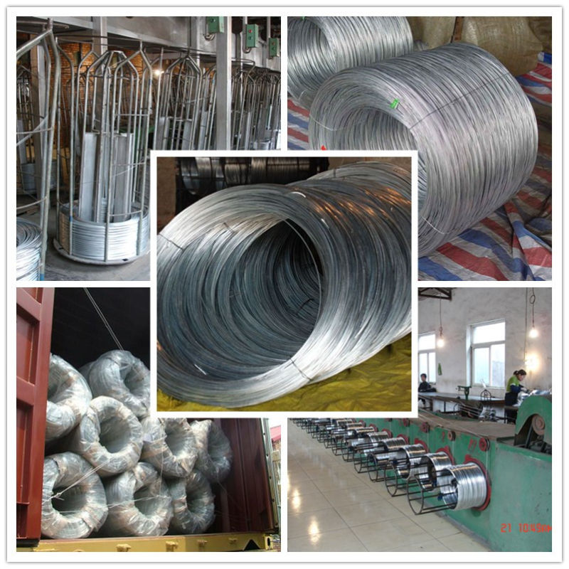 Galvanized Wire /Iron Wire /Galvanized Iron Wire for Binding