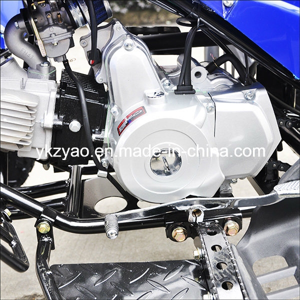 Most Hot Sale EEC 70cc ATV 110cc Quad with High Quality Zya-07 Series