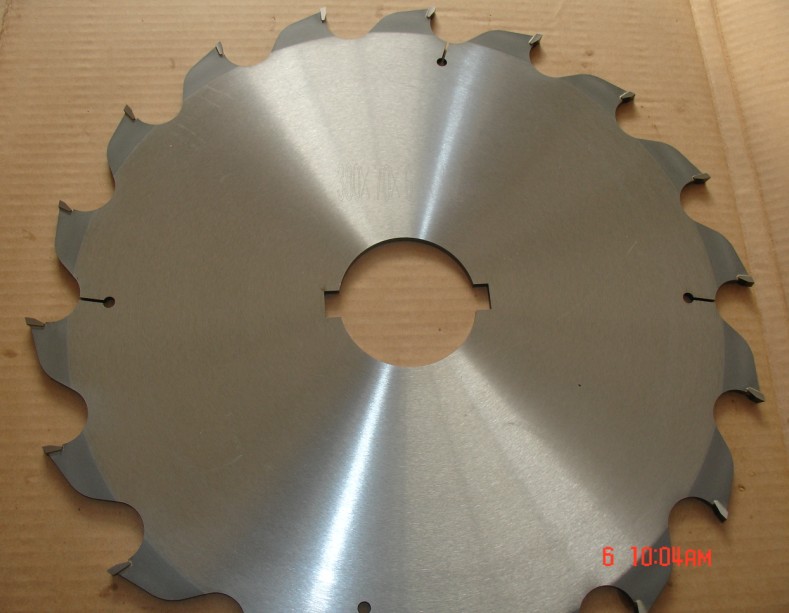 Tct Circular Saw Blade for Cutting Wood CH0013-0024