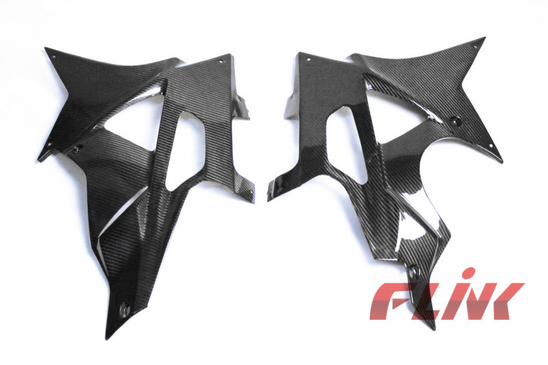 Carbon Fiber Bellypan for BMW S1000rr