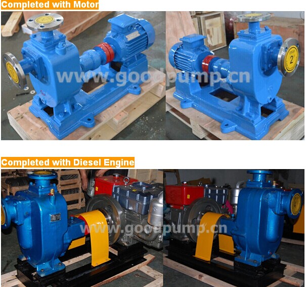 Horizontal Self-Priming Pump (ZW)