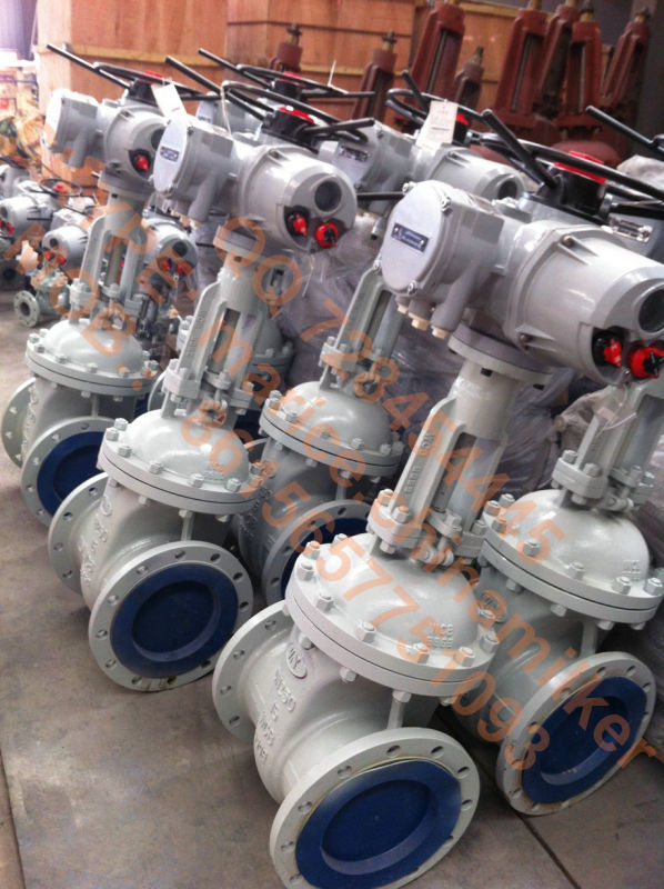 Electric Motor Control Gate Valve (Z941H-DN125-10MPa)