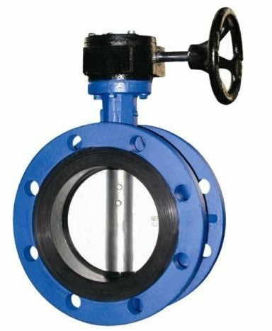 Ductile Rion Body/Ss Disc Lug Butterfly Valve