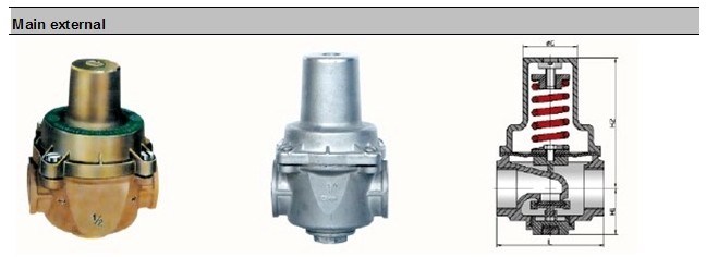 Stainless Steel Direct-Acting Pressure Reducing Valve