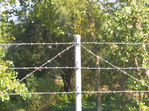 Hot-Dipped Galvanized Barbed Wire for Fence