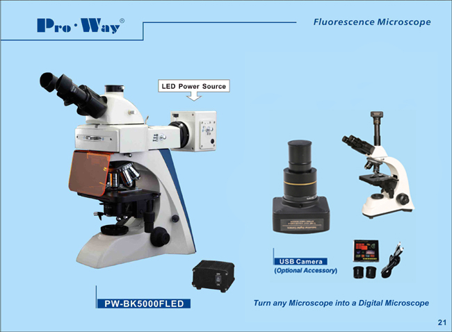 Professional Fluorescent Biological Microscope (PW-BK5000FLED)