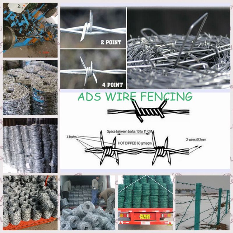 ISO 9001 Galvanized Barbed Wire