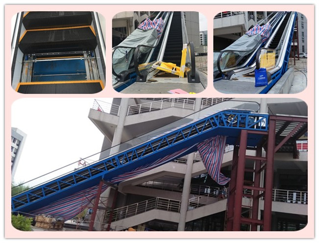 Indoor Safe Conveyor 30 Degree 1000mm Wide Step Escalator