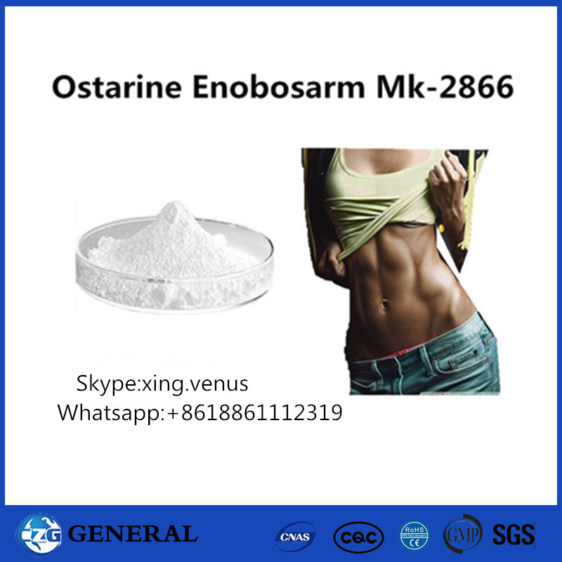 99% Pharmaceutical Cheap Price Sarms Powder Ostarine Enobosarm Mk-2866