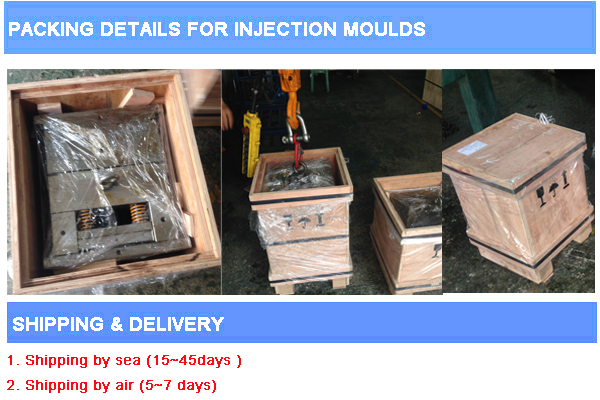 Mold for Plastic Injection