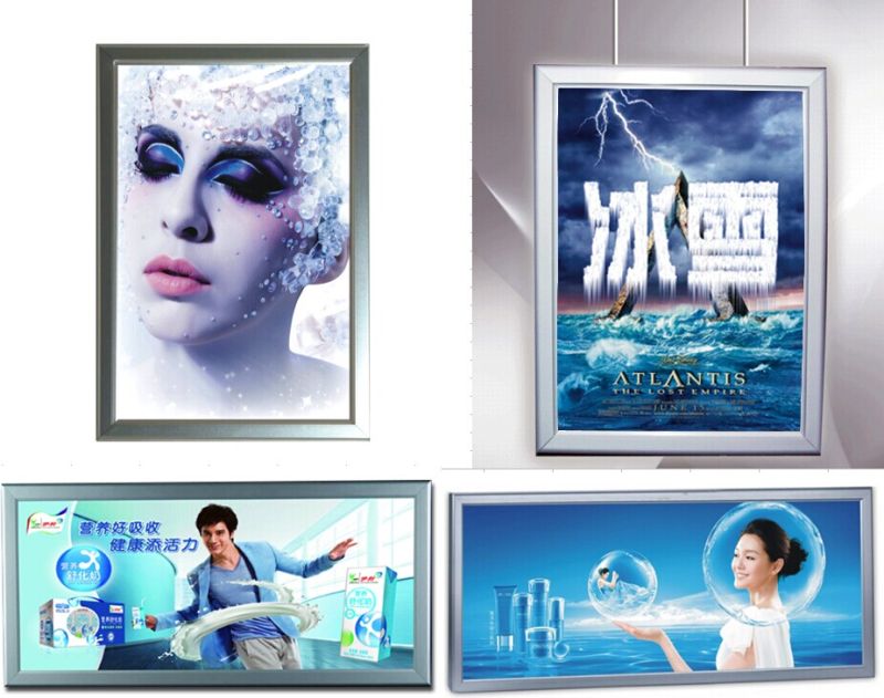 Advertising LED Exhibition Light Box Manufacturers