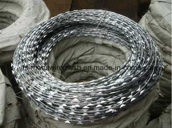 Hot Dipped Galvanized Razor Barbed Steel Wire Mesh