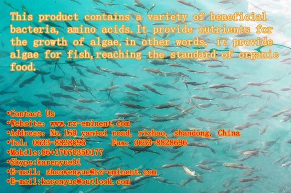 Seaweed Microbial Aquaculture Water Fertilizer of Fish Natural Fodder