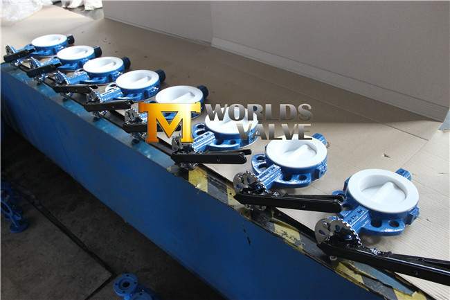 Split Body Wafer Butterfly Valve