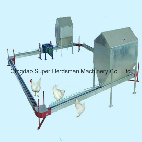 Automatic Breeder Raising Equipment for Poultry Farming House