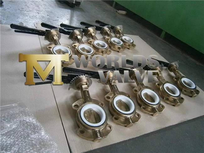 Aluminum Bronze Wafer Butterfly Valve