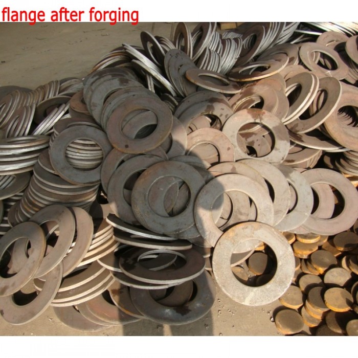 Zinc Carbon Steel Forged Pipe Flange