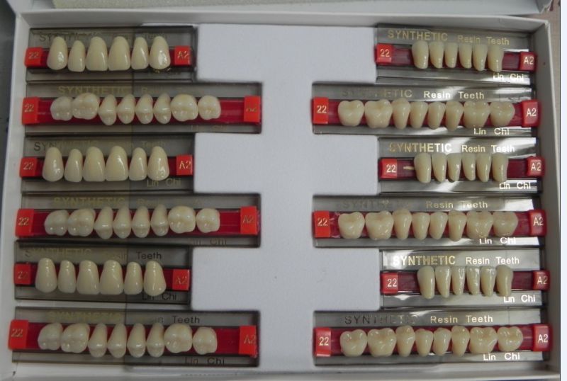 2-Layer Acrylic Teeth for Posterior Packing