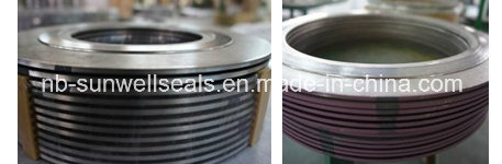 Special Materials Spiral Wound Gaskets