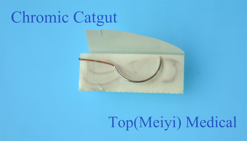 Surgical Suture with Needle -- Chromic Catgut Surgical Suture